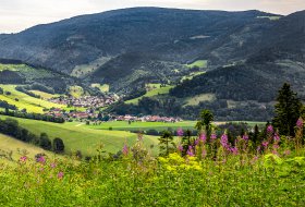 Phoca Thumb M Blick Nach Oberried 2005 2020 1400px